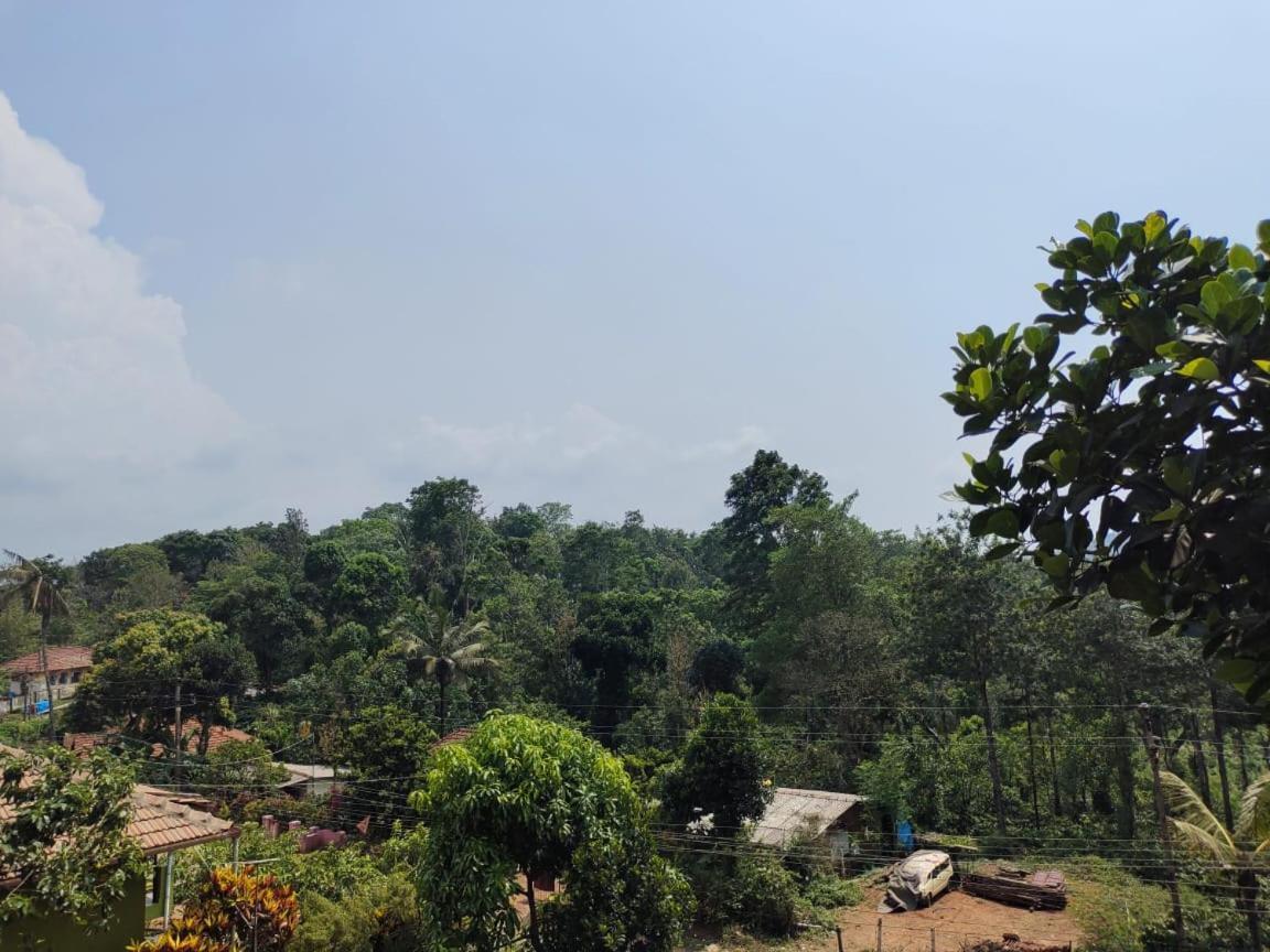 Green Land Estate Homestay 5 Rooms With Garden View Madikeri Zewnętrze zdjęcie
