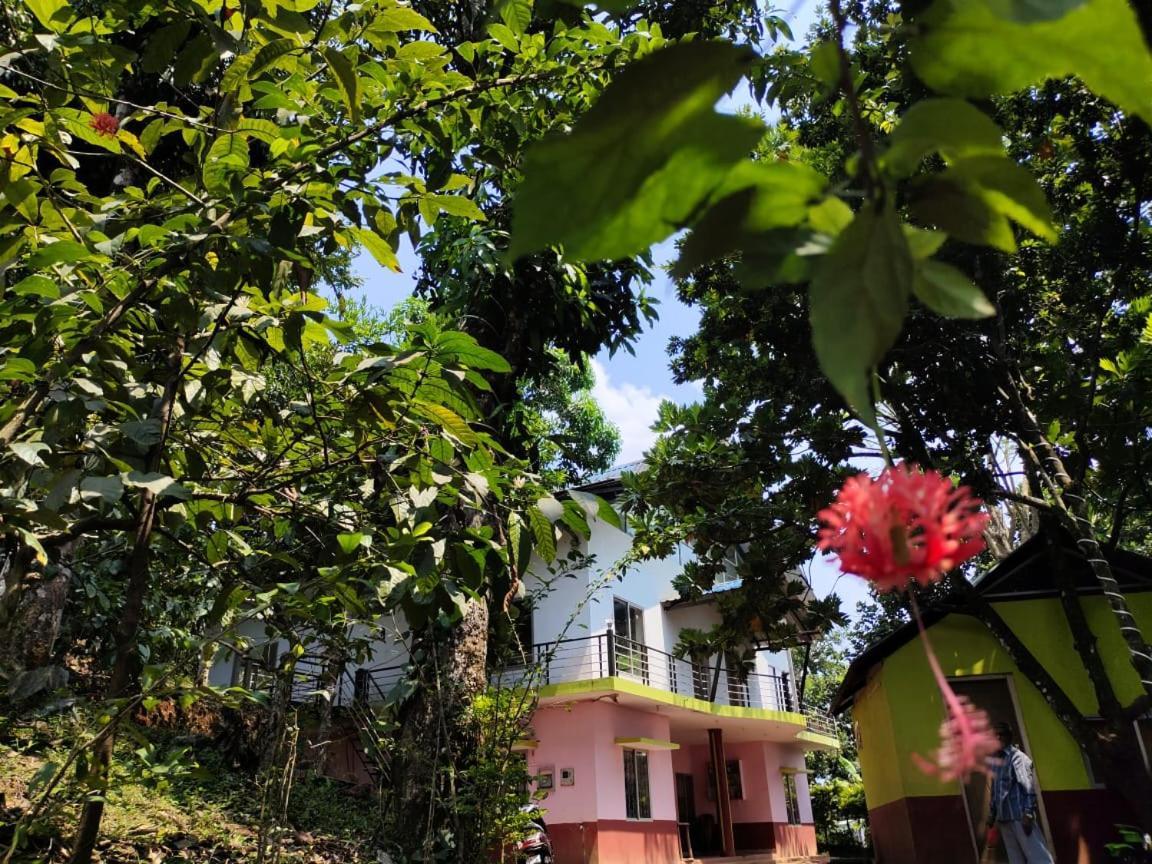 Green Land Estate Homestay 5 Rooms With Garden View Madikeri Zewnętrze zdjęcie